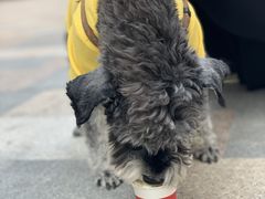 -星巴克(天津鲁能中心第三店)