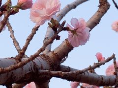-观澜湖生态运动公社