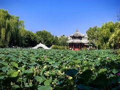 -莲池书院博物馆