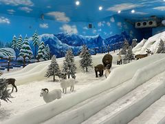 -世界之窗阿尔卑斯冰雪世界