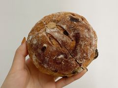 黑麦黑葡萄-Juicy Bakery(大学路店)