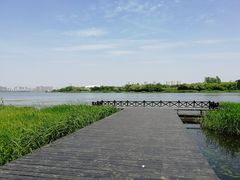 -长广溪湿地公园