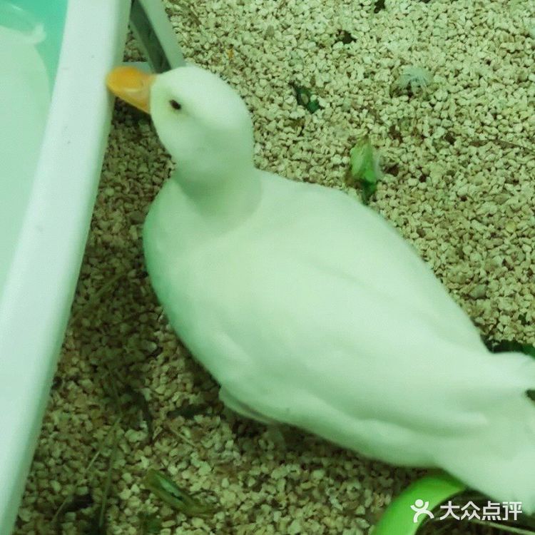 畅游萌宠乐园一整天，两大一小只要150元