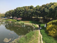 -美兰湖景区