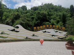 -西双版纳原始森林公园