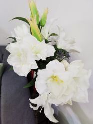 -时间海科学美容