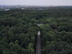-灵谷景区