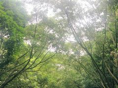 -南宁南湖公园