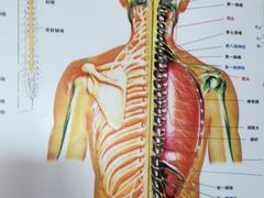-张钰强中医正骨推拿连锁(华发商都店)