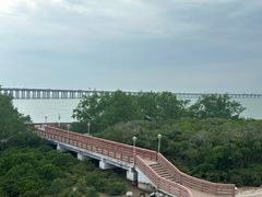 -宝安西湾红树林湿地公园