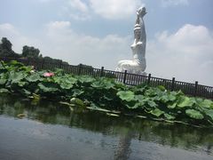-荷塘月色湿地公园·向阳花洲