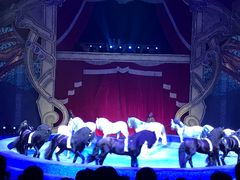 -珠海横琴长隆《卡卡虎奇遇记》