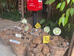 -大象粑粑造纸公园