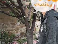 -莱阳濯村樱花园