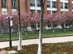 -牧歌商务公馆(南门店)