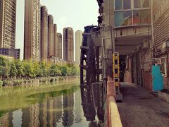 -成都市活水公园