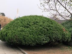 -北京世界公园
