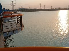 -漕湖湿地公园
