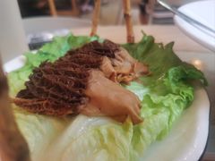 -喜上喜鸡煲翅(吉大店)