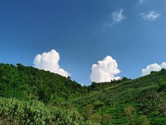 -张关合渣(航空大道店)