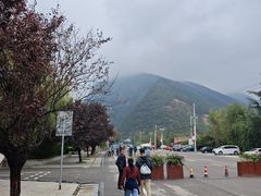 -少华山国家森林公园