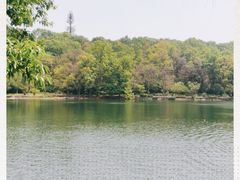 -紫霞湖公园