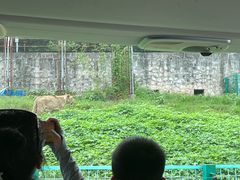 -西安秦岭野生动物园