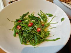 -一坐一忘云南菜(三里屯店)