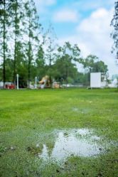 -糖果baby儿童摄影定制馆(外景店)