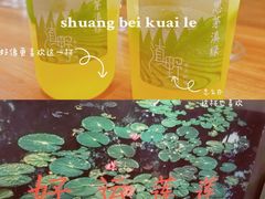 -滇野云南野生菌餐厅(陕西南路店)