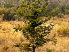 -宁波五龙潭景区