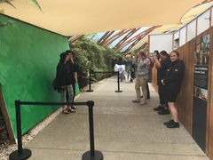 -怀托摩萤火虫洞