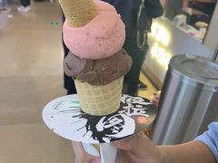 -极拉图·现制冰淇淋(大卫城店)