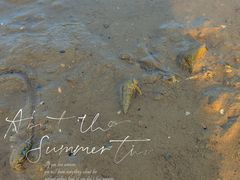 -坝光海滩