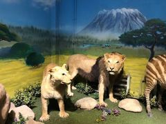 -大连森林动物园