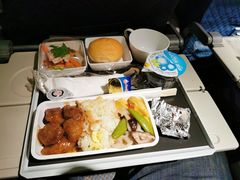 -新加坡航空公司(ION)