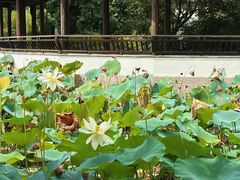 -尚湖风景区