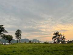 -桂萍特色牛筋牛杂(长堤街总店)