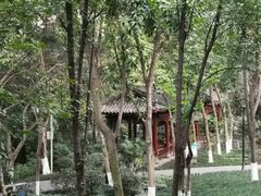 -龙头寺公园