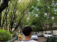 -孝子祠公园