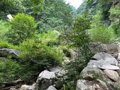 -抱龙峪