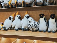 -杭州开元森泊度假乐园