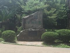 -汉拿树木园