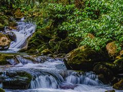 -瓦屋山景区