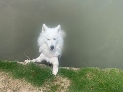 -上海月湖雕塑公园