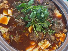 -杨氏青龙虾·羊蝎子(珠江路店)