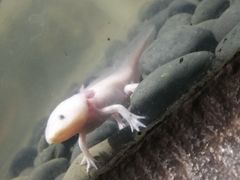 -青青世界