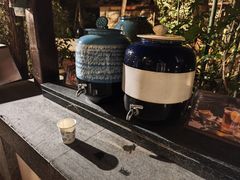 -天目湖涵田半山温泉