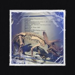 -恐龙探索乐园(磁器口店)