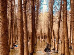 -捞渔河湿地公园